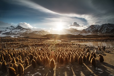 Antarctica Travel Guide: All You Need To Know About the World's Largest Desert!