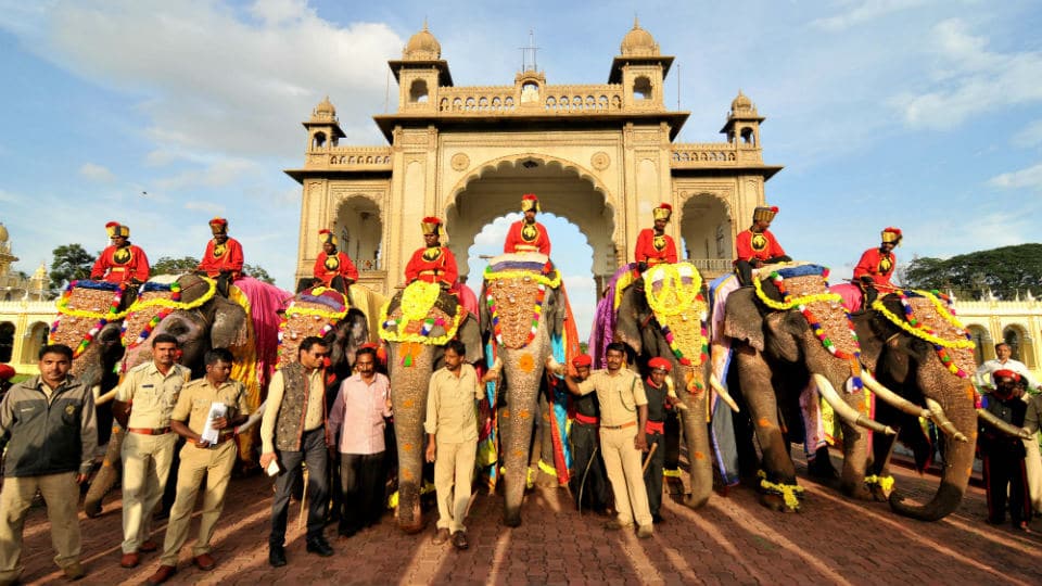 Mysore’s 138 years old Mela