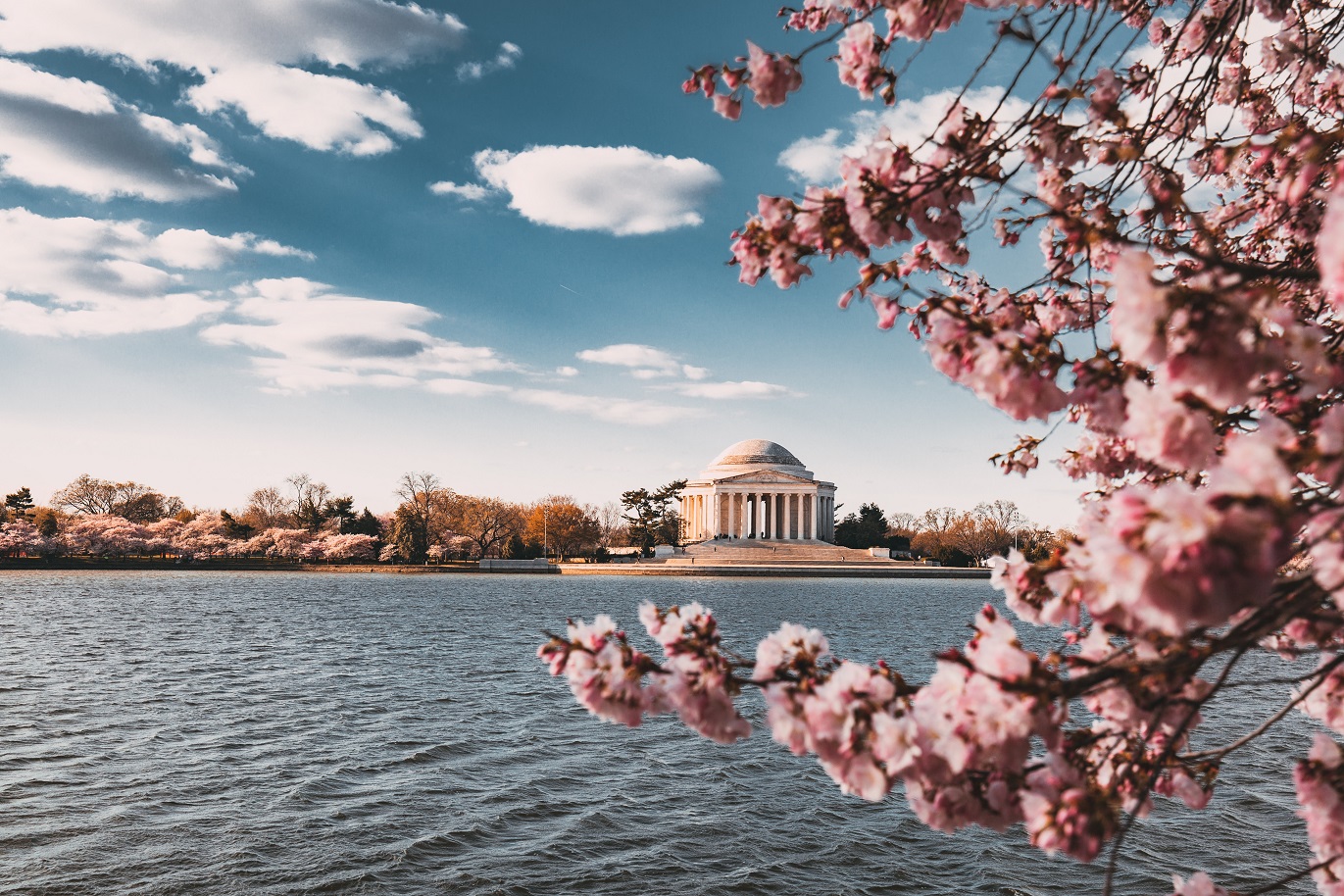 Tidal Basin 