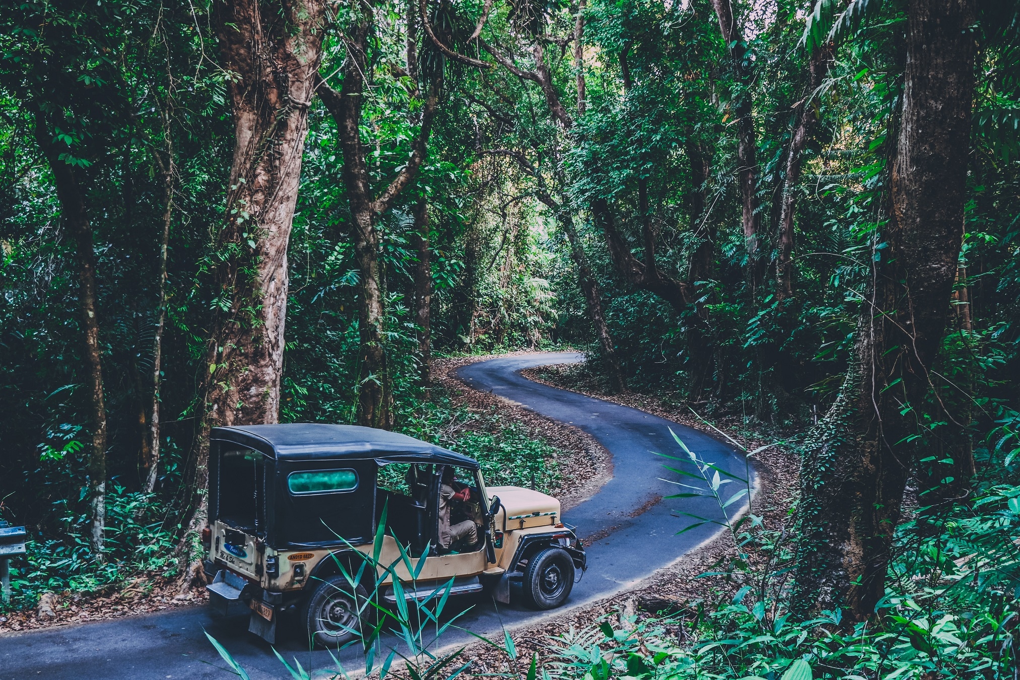 Mount Harriet National Park