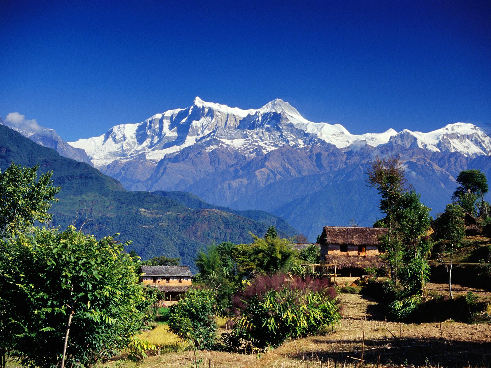 Annapurna Nepalembassygovnp