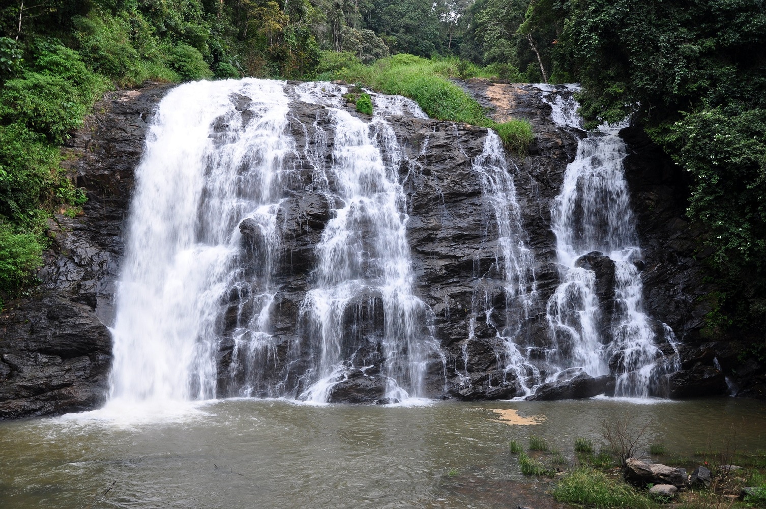 Abbey Falls Coorg: Timings, Entry Fee, Things To Do | Veena World