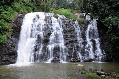 Abbey Falls Coorg: Timings, Entry Fee, Things To Do