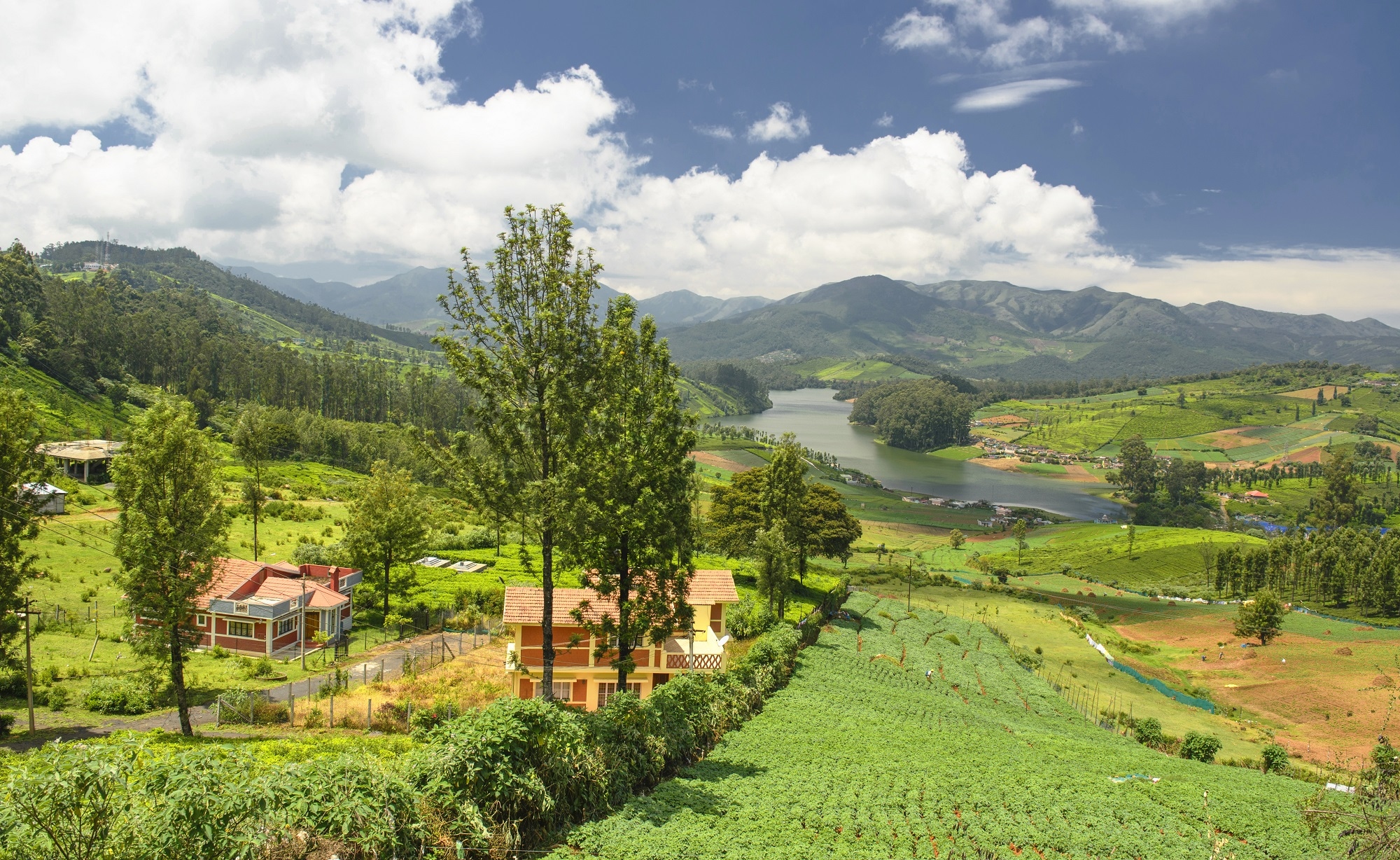 How about a hill station in the Nilgiris, with Coonoor?