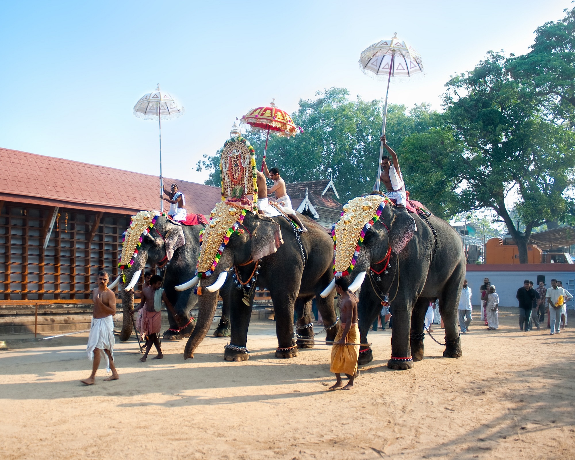 Adoor Gajamela