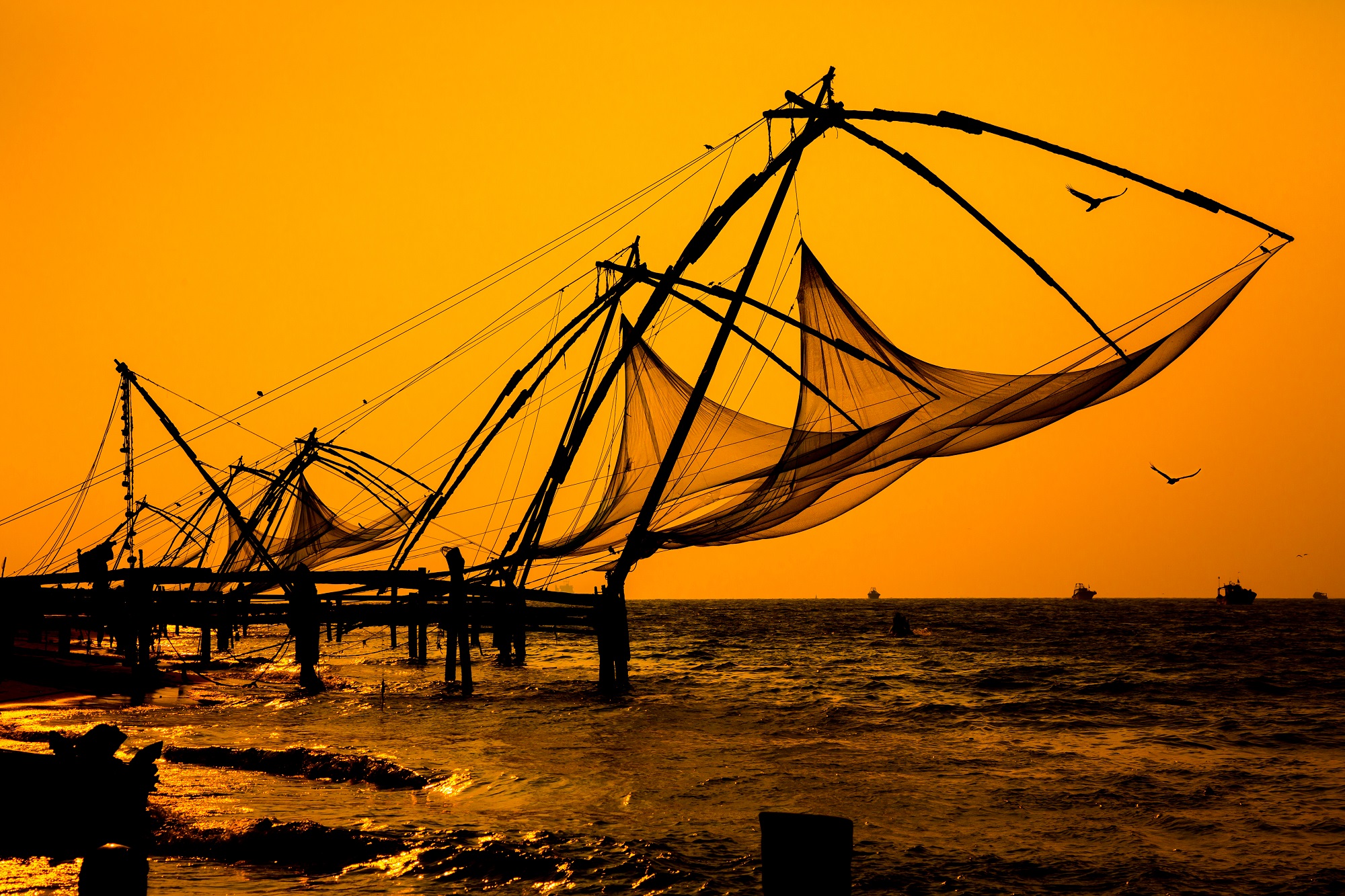 Bigstock Chinese Fishnets Cochin South 42921208