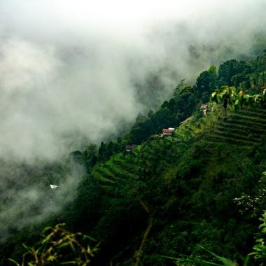 Darjeeling West Bengal – The Hill Station of Tea Plantations scaled