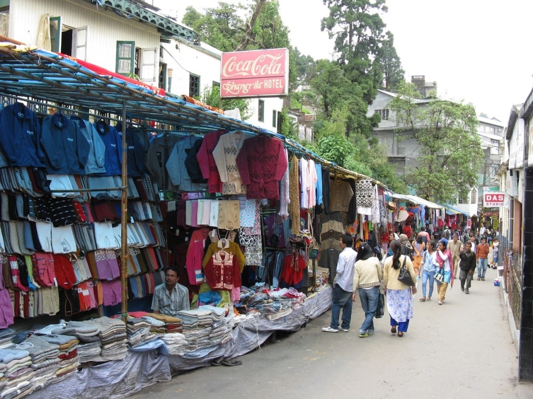 What to Buy When Shopping in Darjeeling? Veena World