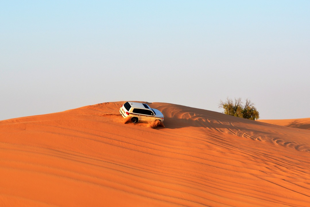 The Developed Desert of Dubai