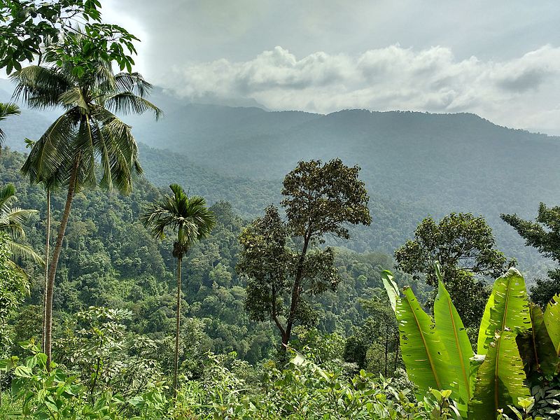 Experiencing Monsoon in Indian Hill Stations