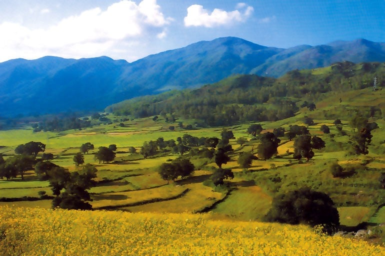 Araku Valley Araku Valley