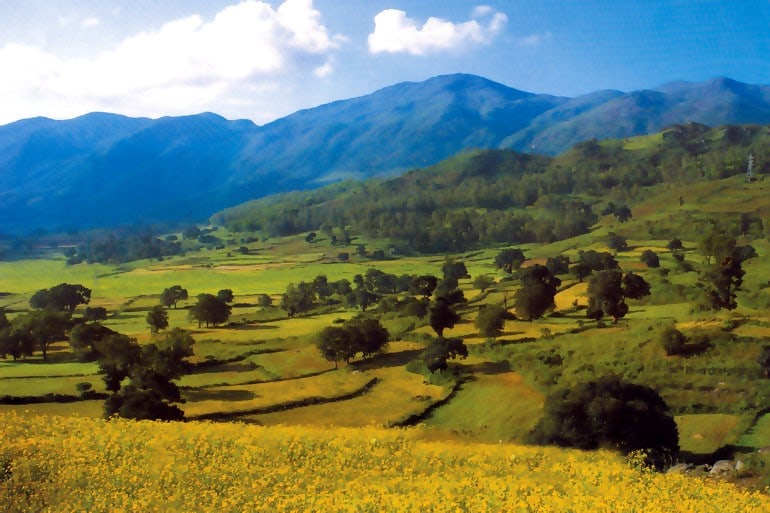 Araku Valley