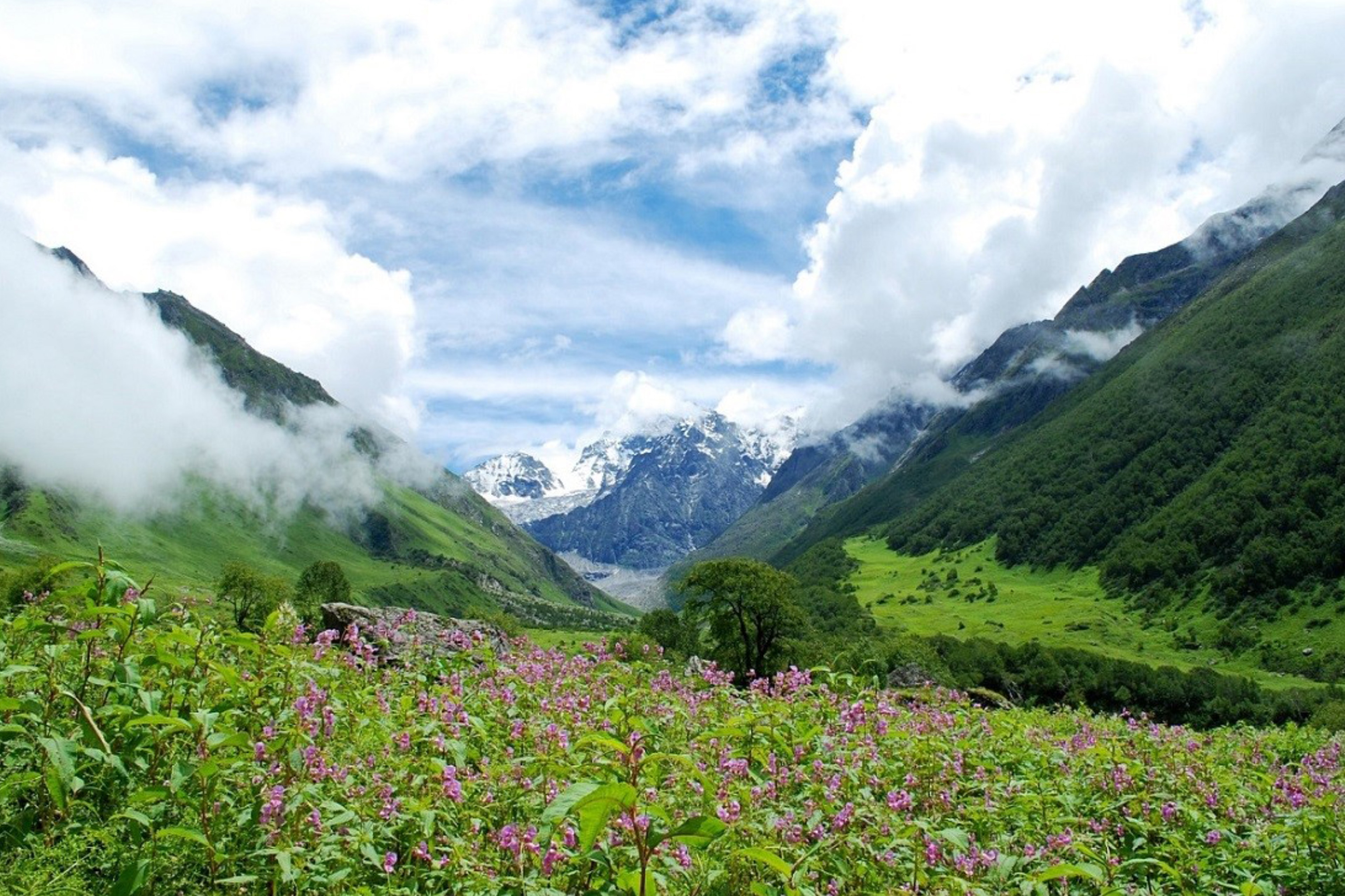 Top 10 Best Hill Stations Near Dehradun for Mountain Adventure | Veena World