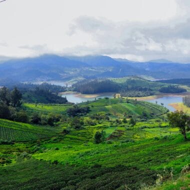 A Honeymoon Guide to Super Romantic Places in Ooty scaled e1646918862241