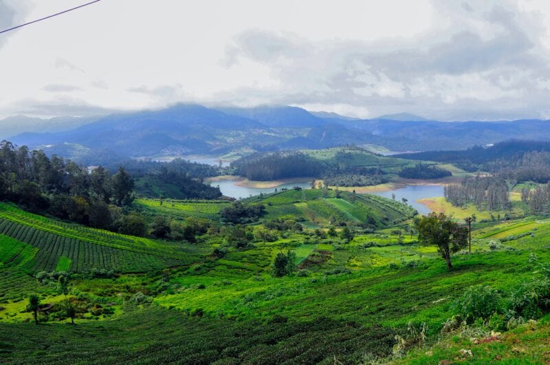 A Honeymoon Guide to Super Romantic Places in Ooty scaled e1646918862241