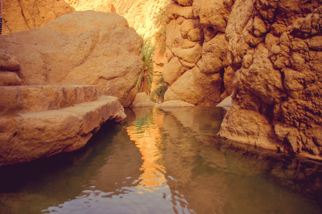 Chebika Oasis