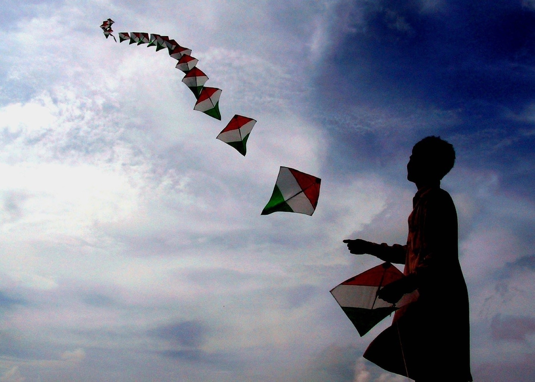 International Kite Festival of Gujarat All You Need to Know Veena World