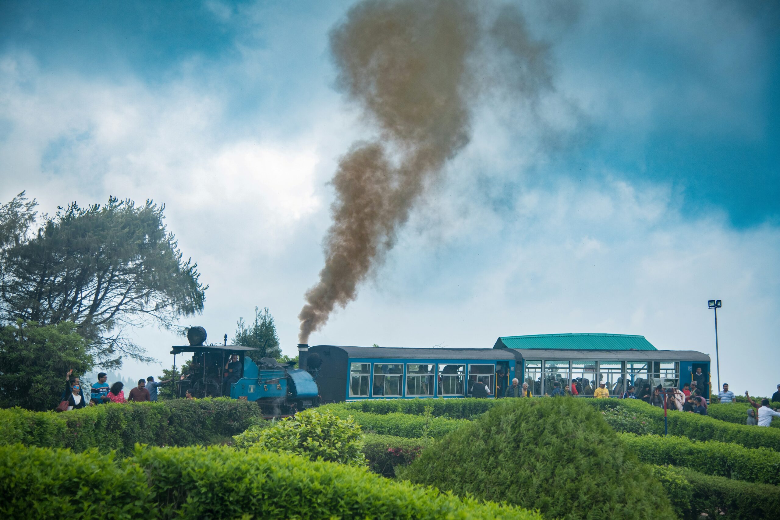 April in India Darjeeling