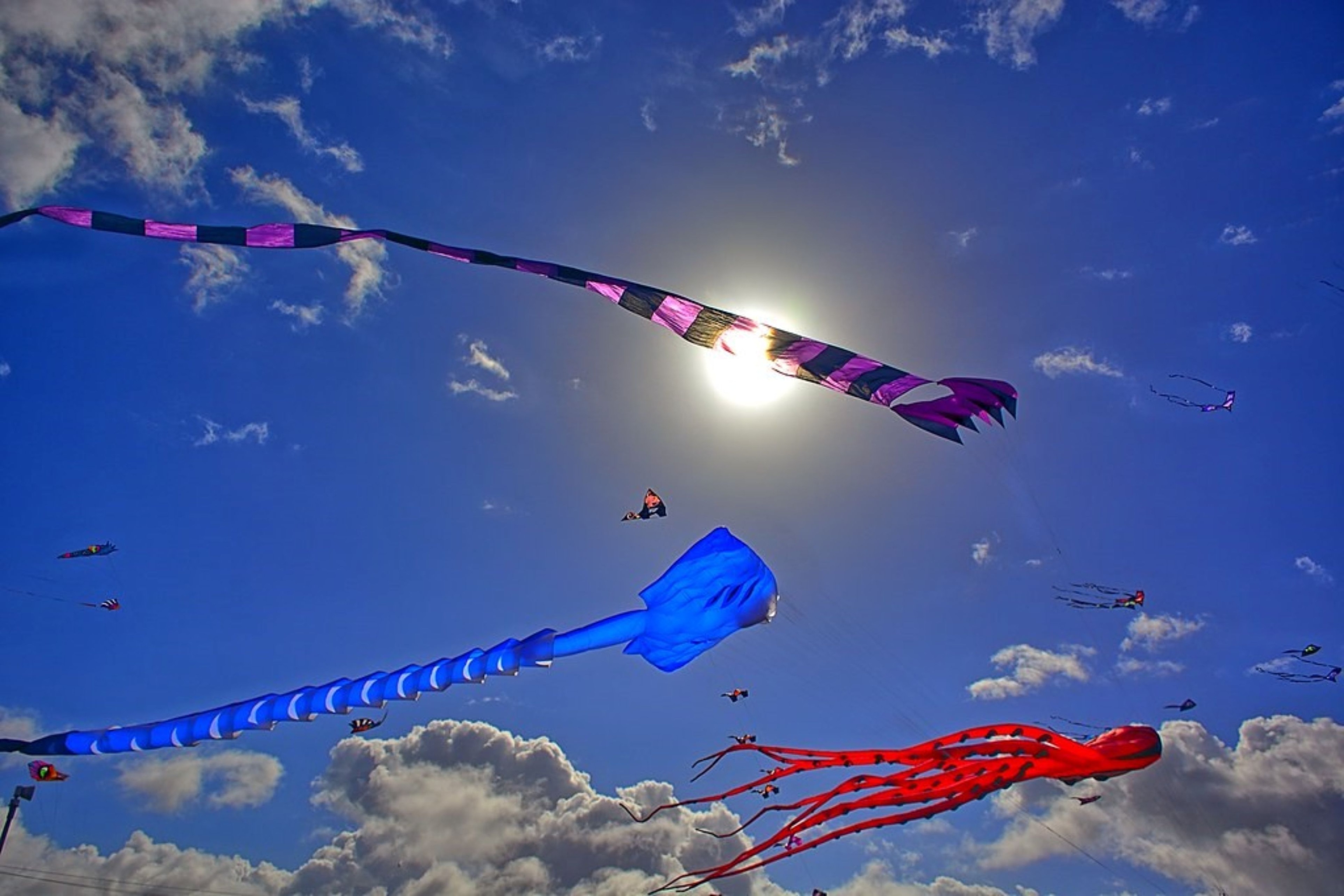 International Kite Festival of Gujarat All You Need to Know Veena World