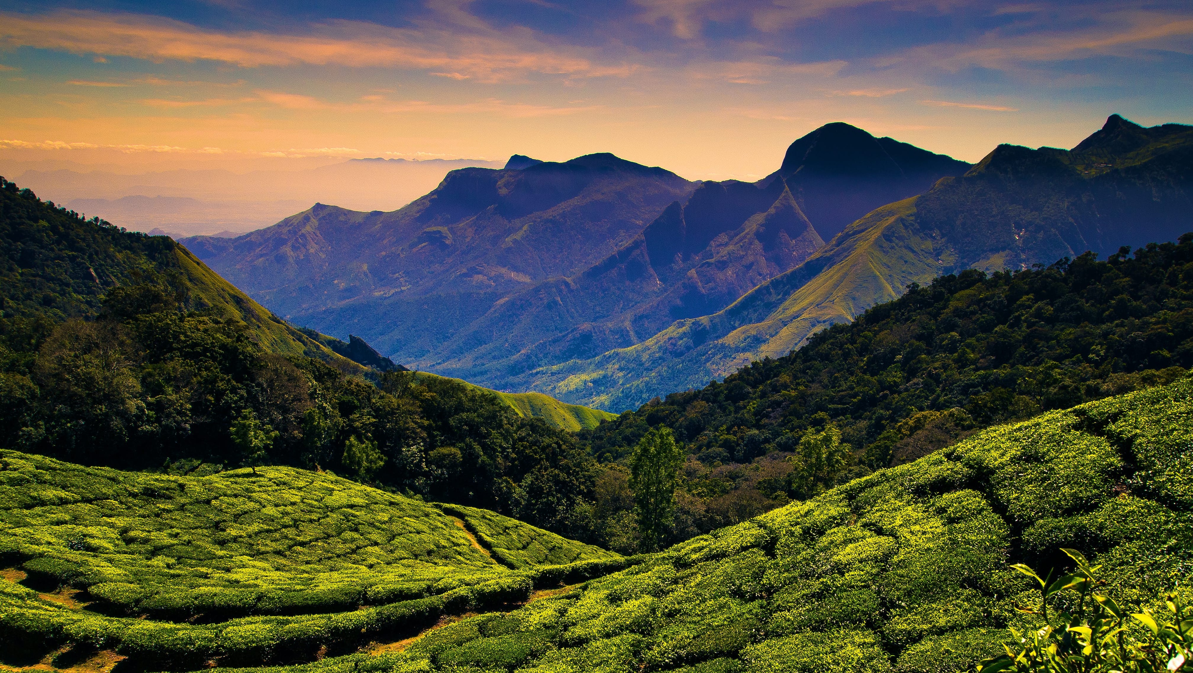 The 12 Best Hill Stations near Chennai