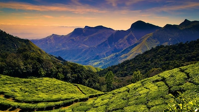 The 12 Best Hill Stations near Chennai
