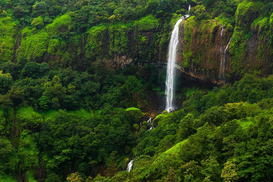 Amboli