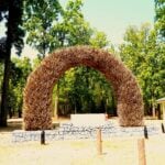 Kanha Arch of Horns scaled