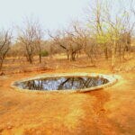 Water Hole in Ranthambhore Edit scaled