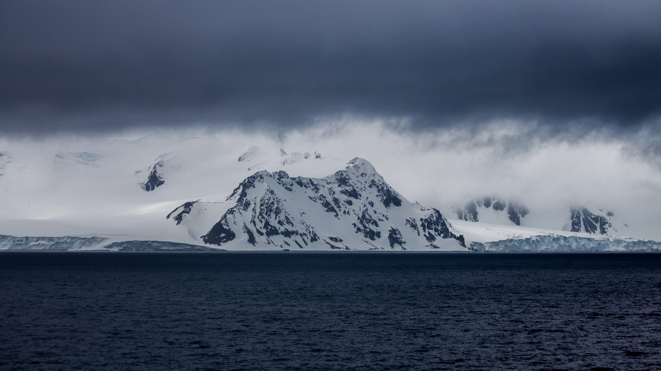 You are not likely to find which of these animals in Antarctica?