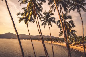 Goa Goa