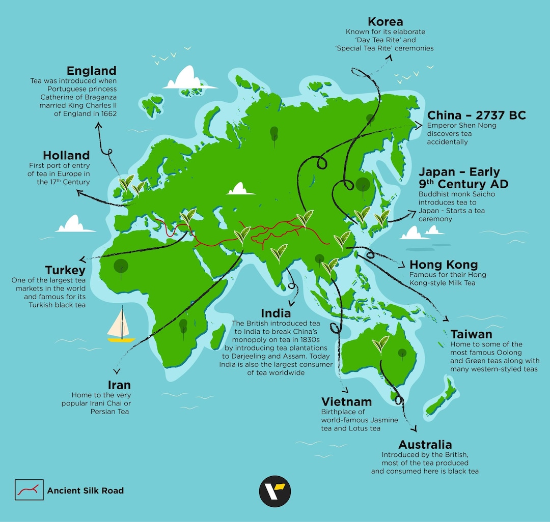 Tea types and their origin Every chai lover needs to know this Veena