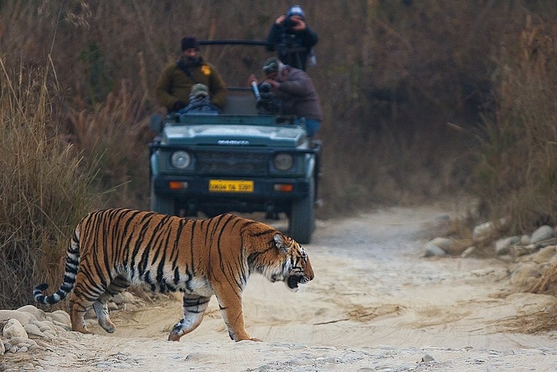 The oldest National Park in India lies in Uttarakhand. Which is the park?