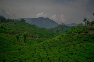 Munnar