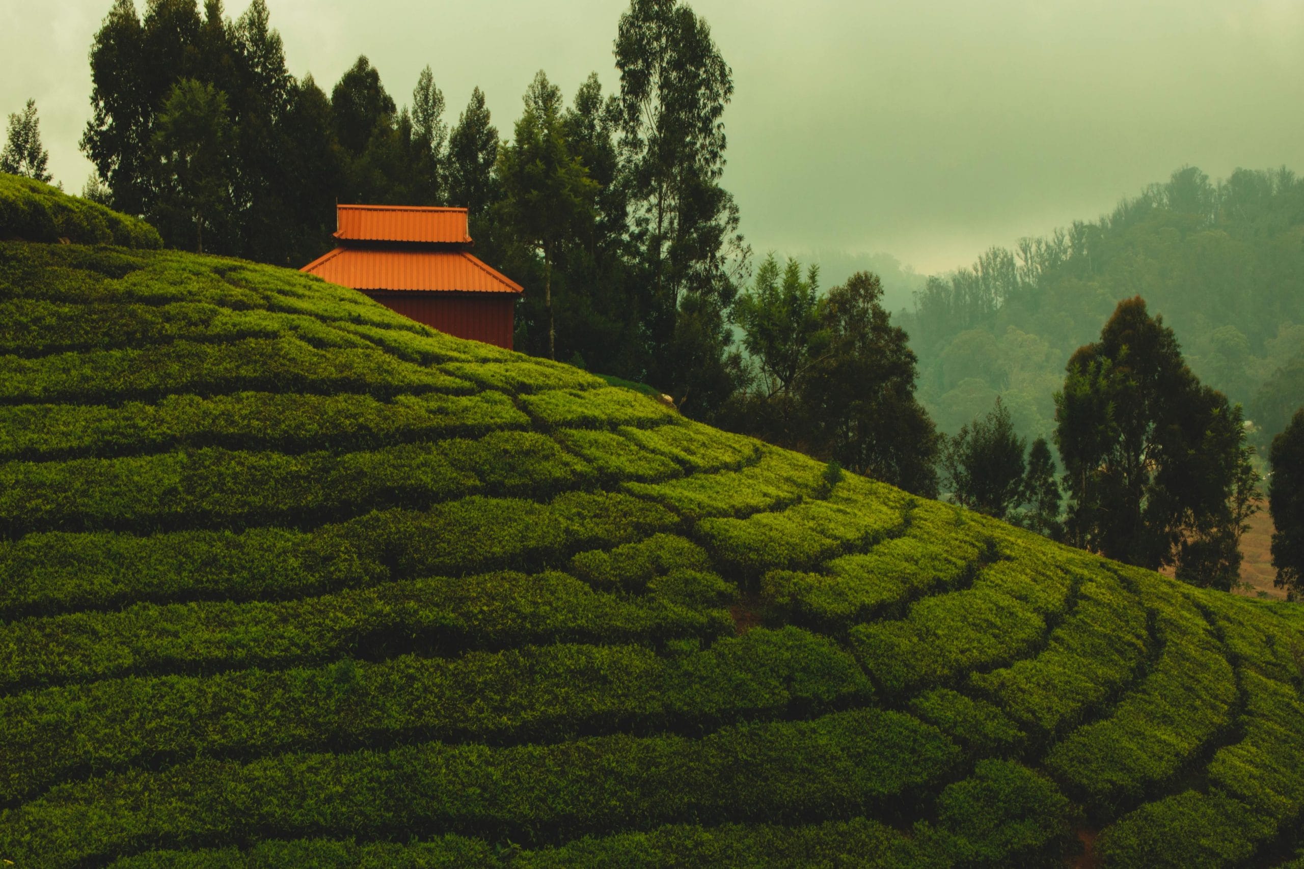 9 Hill Stations To Visit In Tamil Nadu Veena World