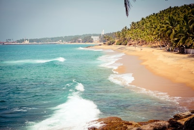 11 Best Beaches in Kerala You Must Include in Your Kerala Tour