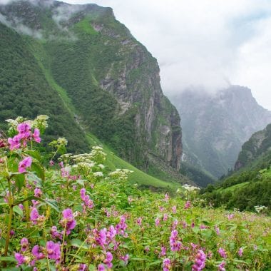 Valley of Flowers Uttarakhand A Complete Travel Guide scaled