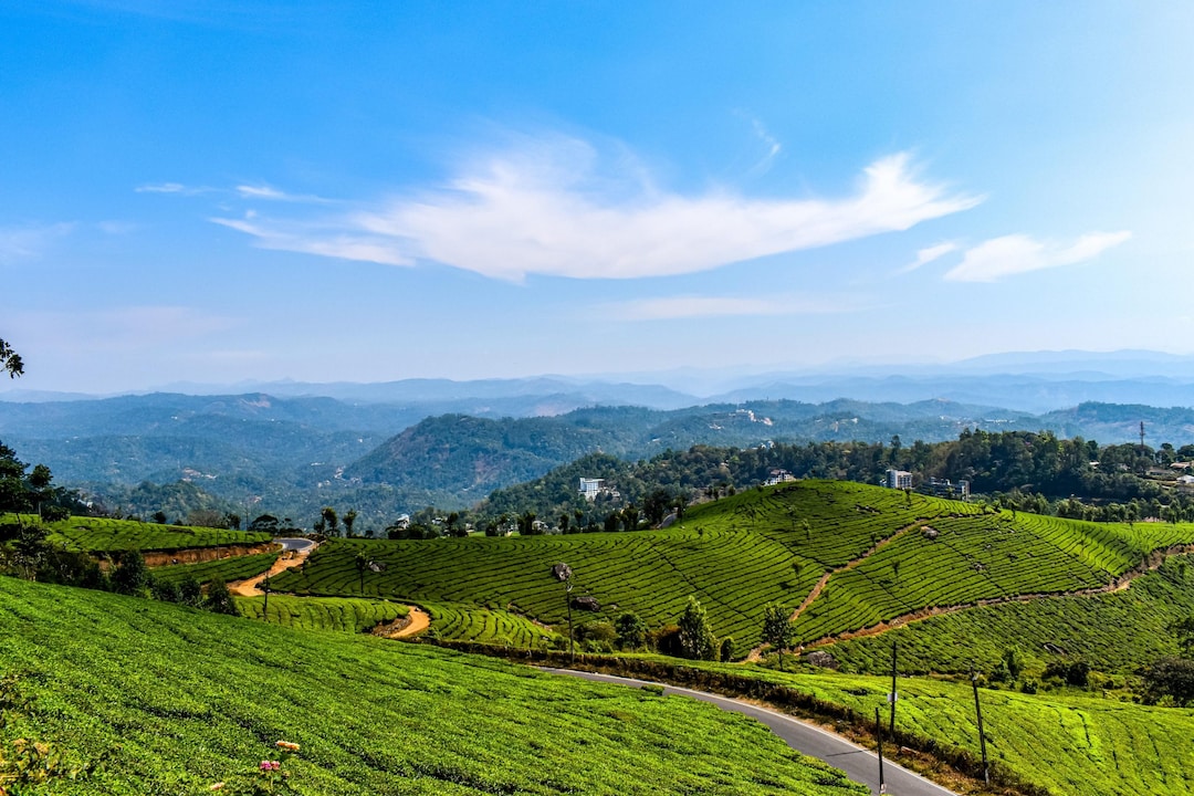 12 Best Munnar Resorts that will Suit Your Taste Pocket scaled