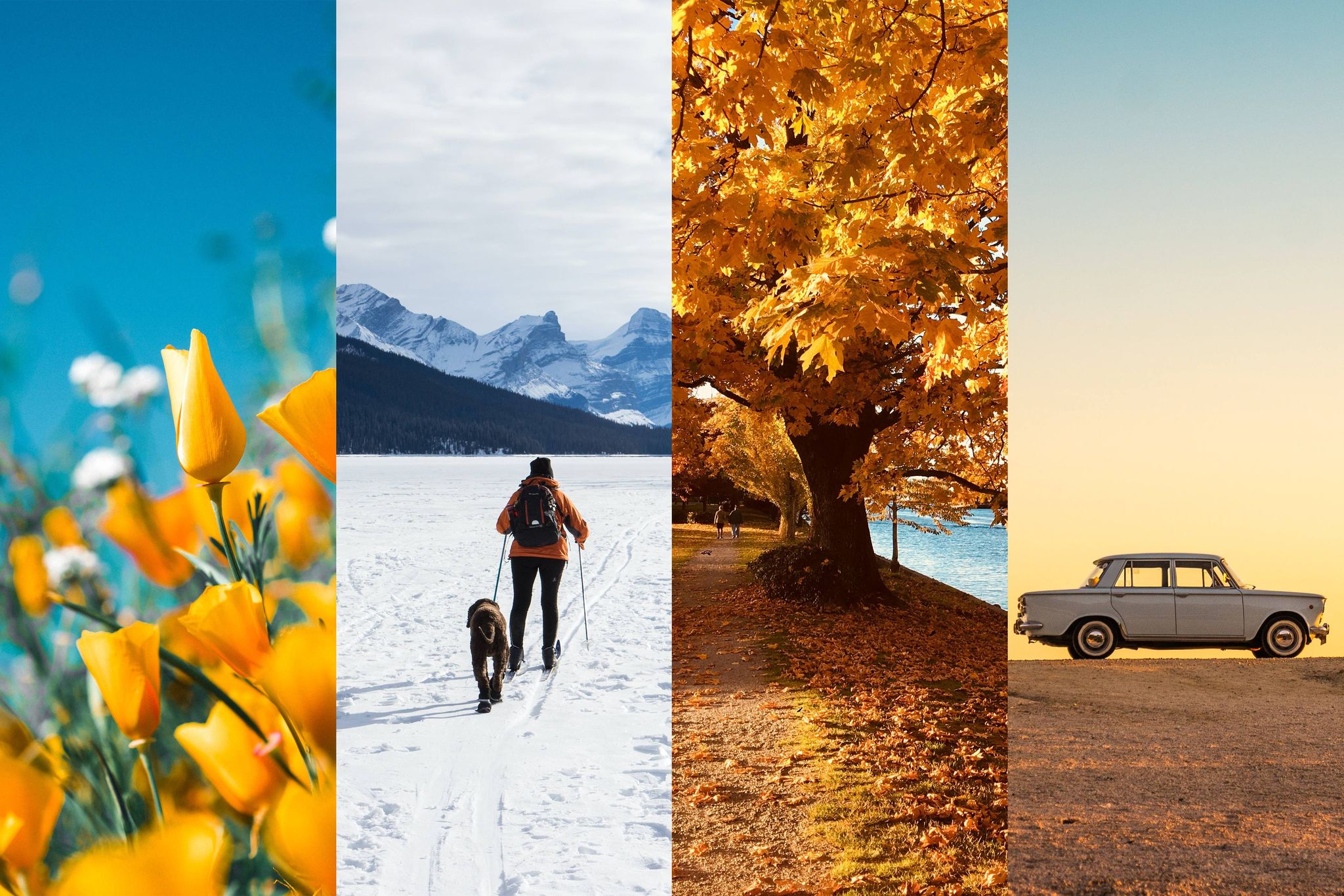 Which is your favourite season? 