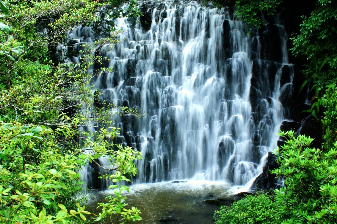 Elephant Falls, Shillong: Location, Timings, Entry Fee