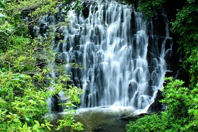 Elephant Falls, Shillong: Location, Timings, Entry Fee