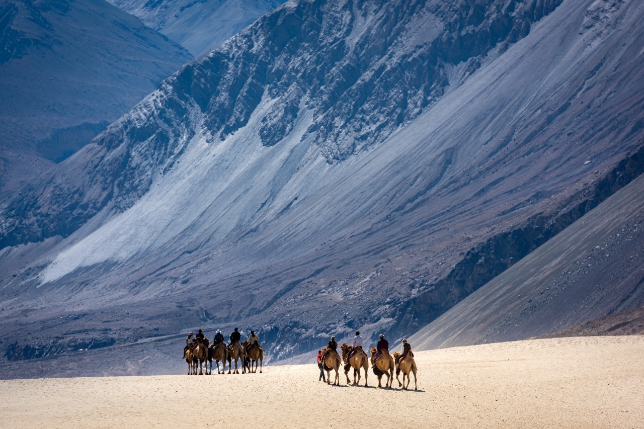 Ladakh is home to type of camels