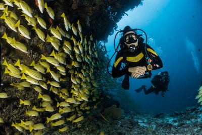 Scuba Diving in Andaman: Best Time & Cost