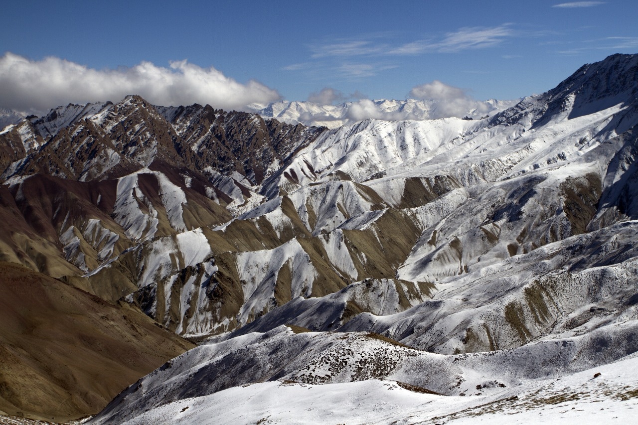 The Hemis National Park in Ladakh is famous for?