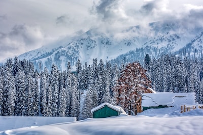 Top 10 Hotels in Gulmarg for Comfortable Accommodation