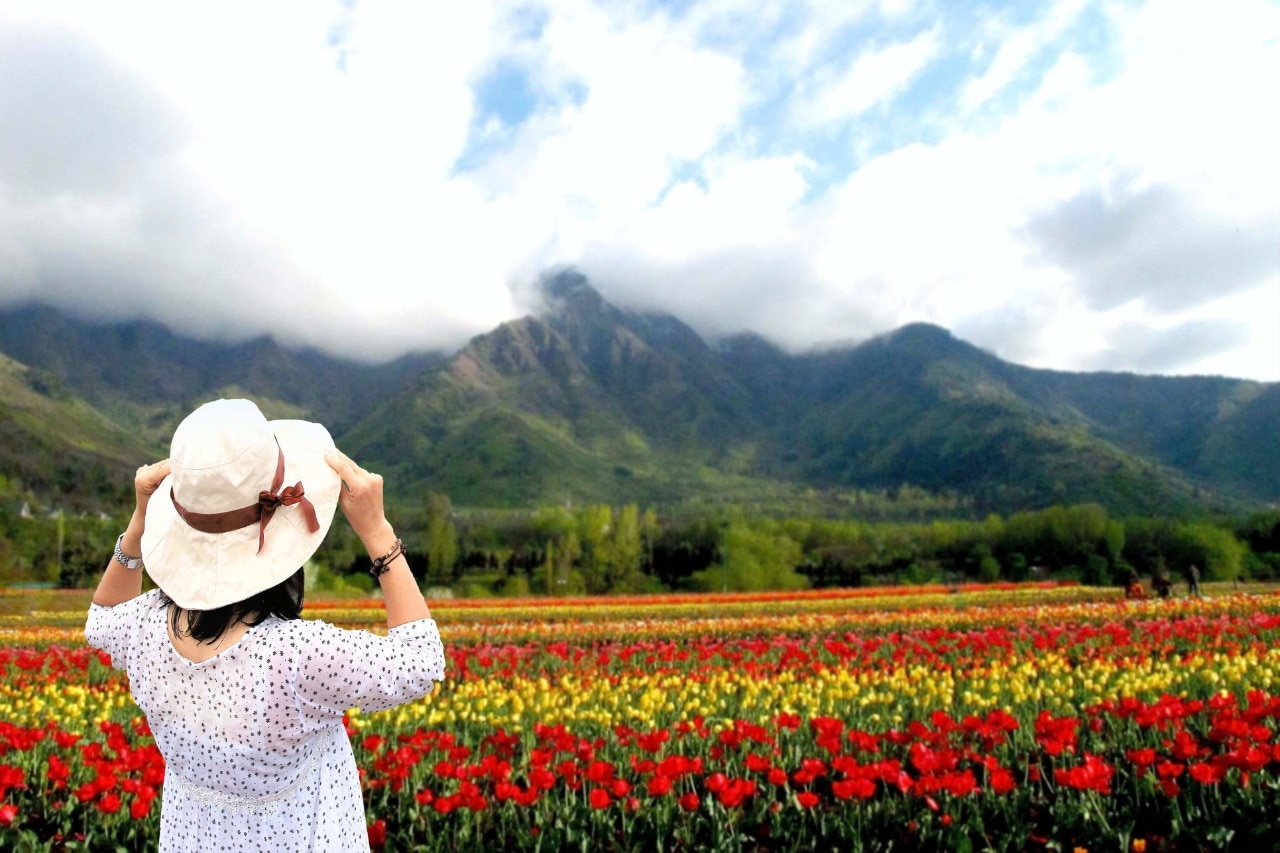 Tulip Garden, Srinagar: The Most Beautiful Tulip Garden in Asia