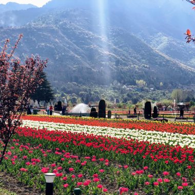 6 Famous Festivals Celebrated in Jammu and Kashmir scaled