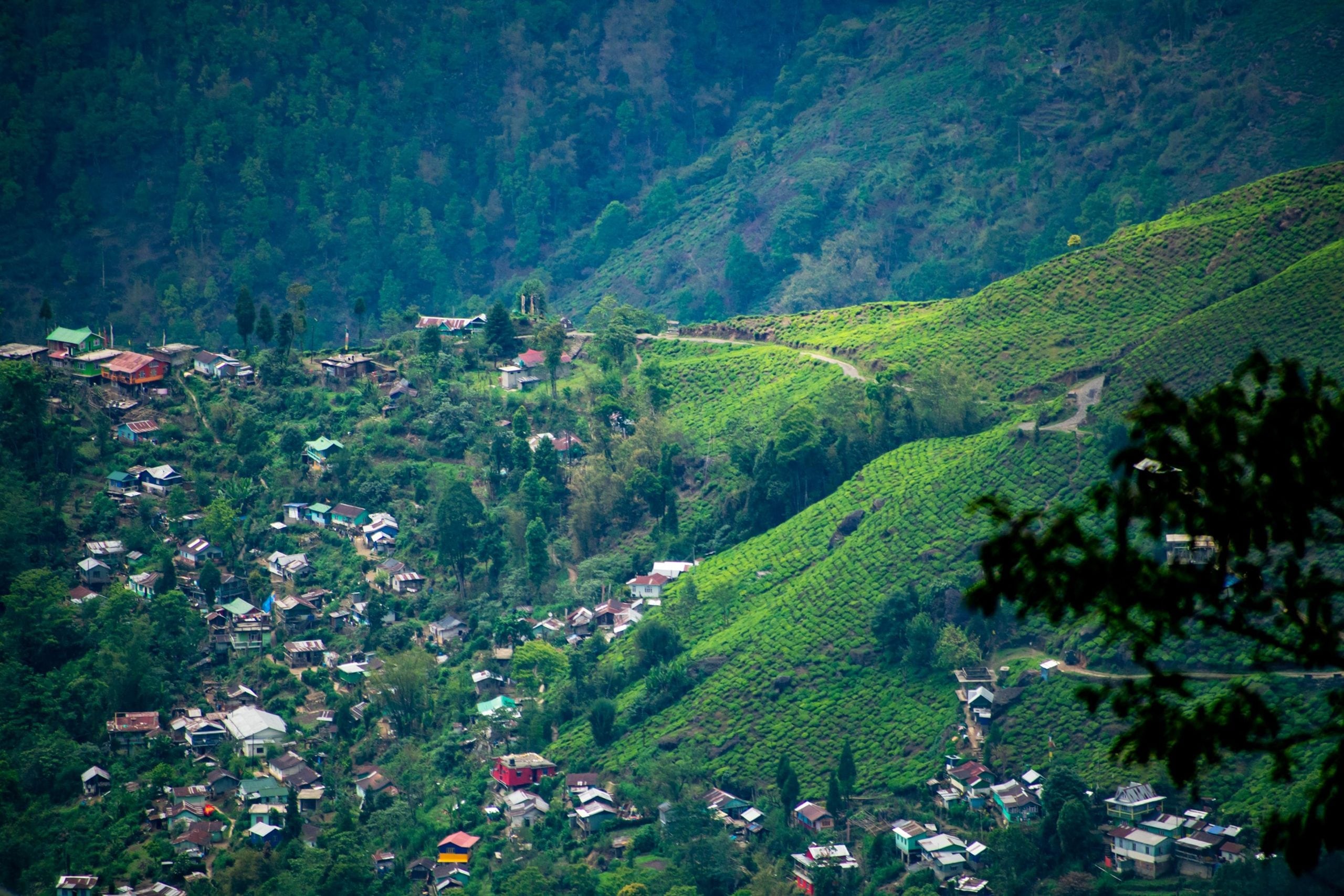 8 Best Resorts in Darjeeling for Peaceful Stay | Veena World