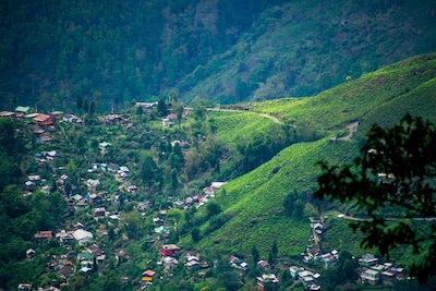 8 Best Resorts in Darjeeling for Peaceful Stay