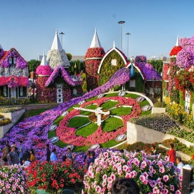 Dubai Miracle Garden Timings Location and Tickets scaled