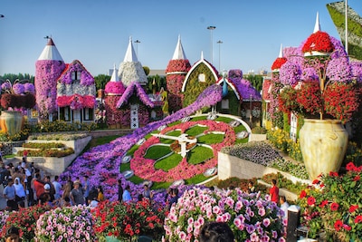 Dubai Miracle Garden Timings, Location, and Tickets